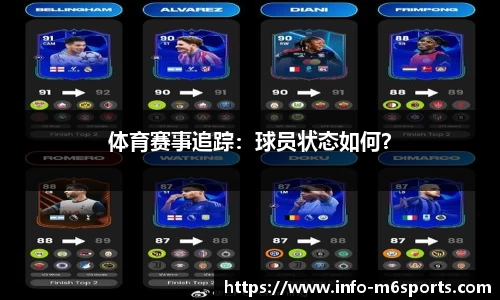 米乐M6官网
